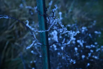 DSC_0972 (Large).JPG